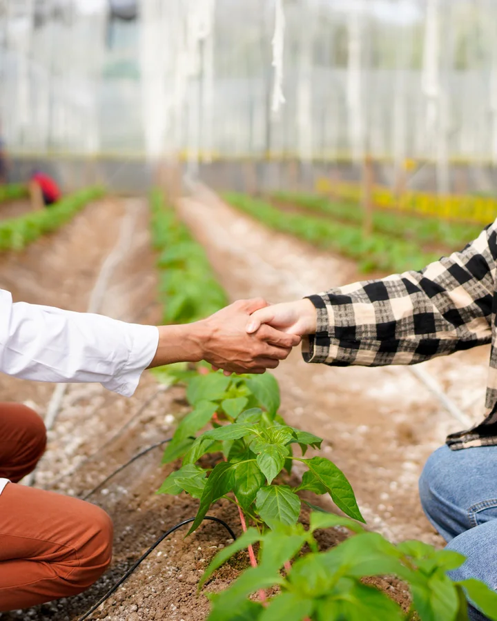 Acuerdo cooperativo en el campo