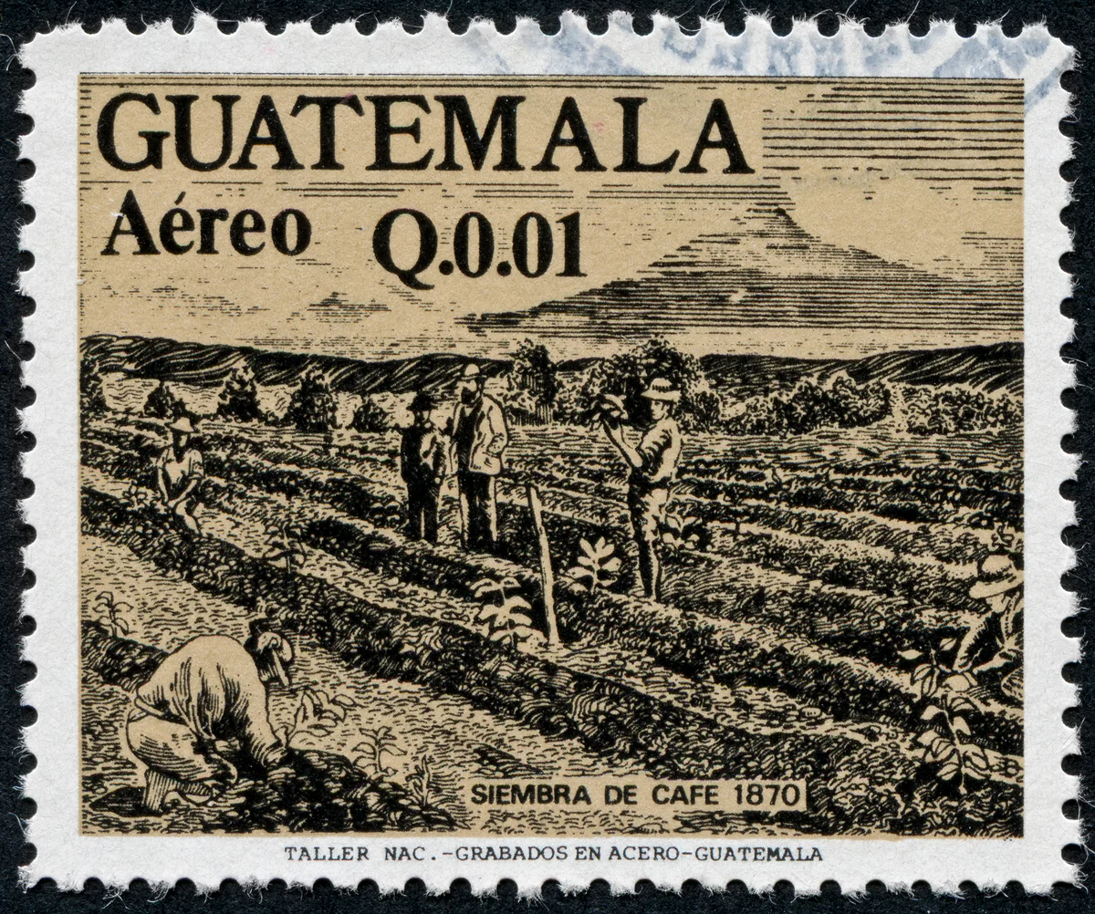 Historia y raíces del campo guatemalteco - Sello Histórico Siembra de Café