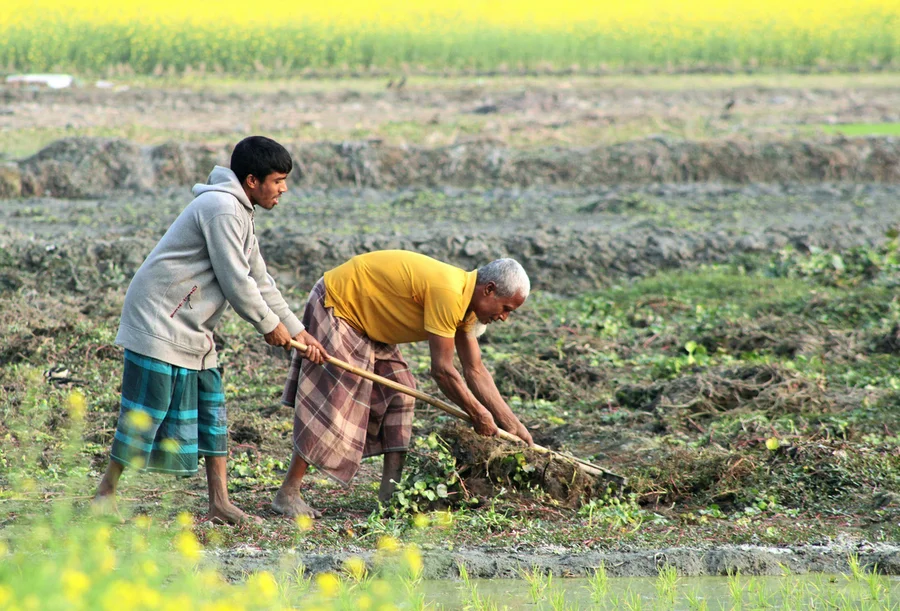 Productores trabajando el campo en Guatemala